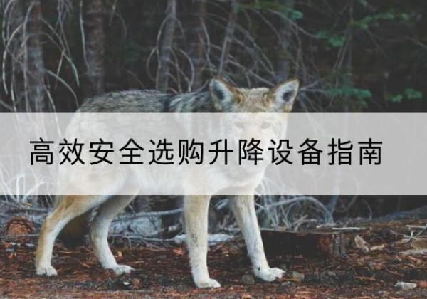 浈江升降货梯厂家推荐-*安全选购升降设备指南