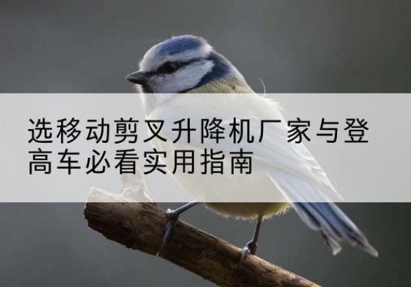 浈江电动升降机厂家-选移动剪叉升降机厂家与登高车必看实用指南