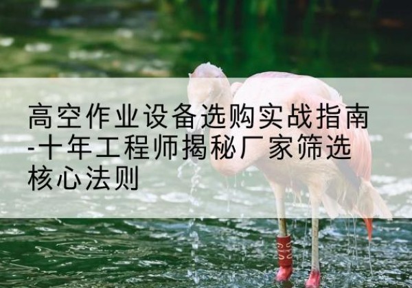 浈江剪叉式升降机厂家-高空作业设备选购实战指南-十年工程师揭秘厂家筛选核心法则